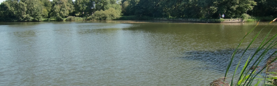 Baggeren en bezanden Kleine en Groote Melanen